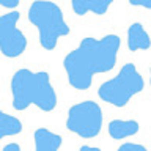 Meet your Posher, The lit